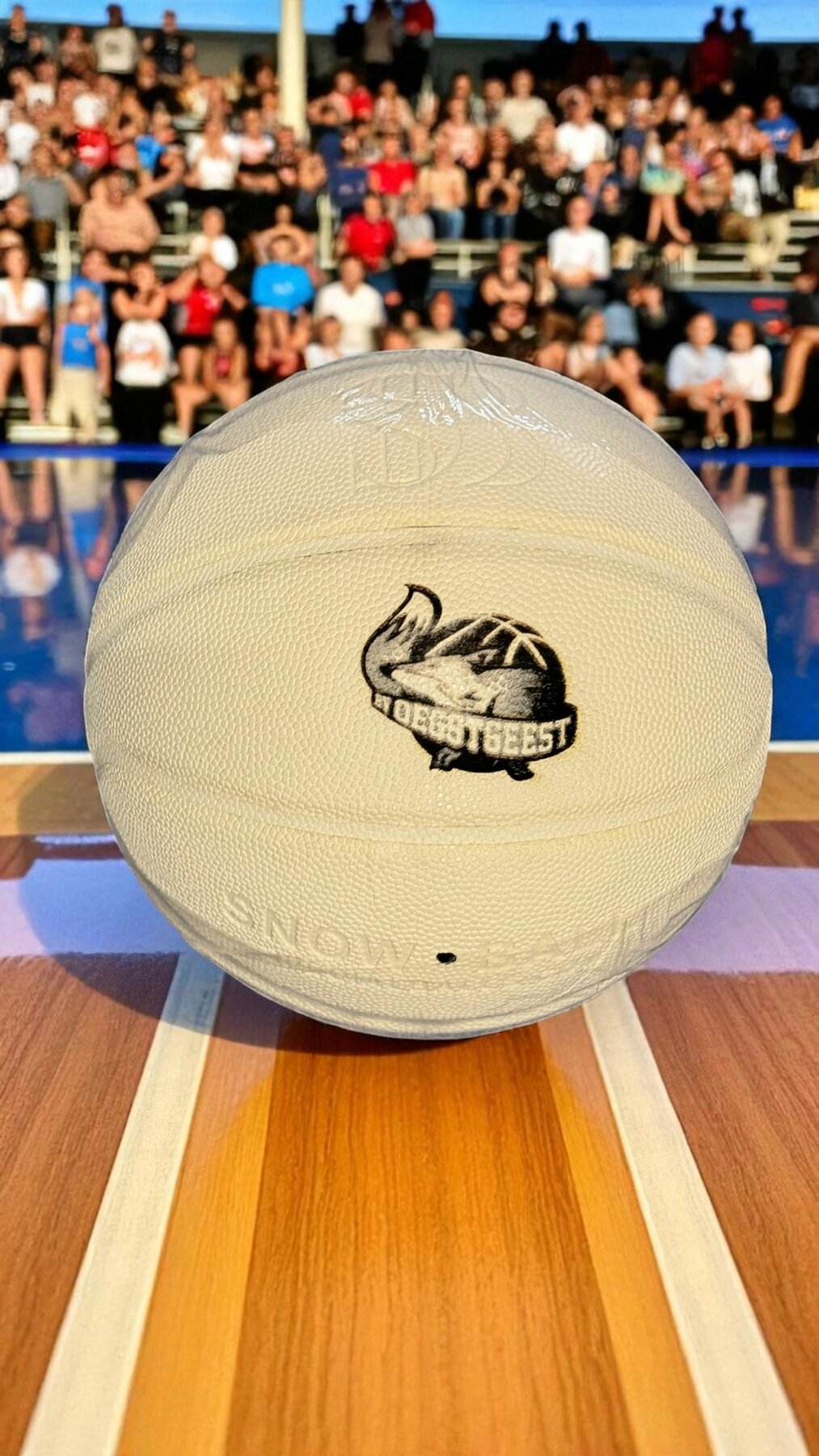 Sneeuw Ball