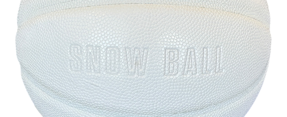 Sneeuw Ball