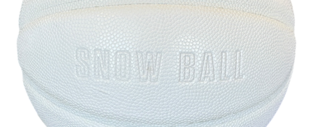 Sneeuw Ball