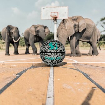 Sneaker Basketbal - Limited Edition