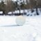 Sneeuw Ball