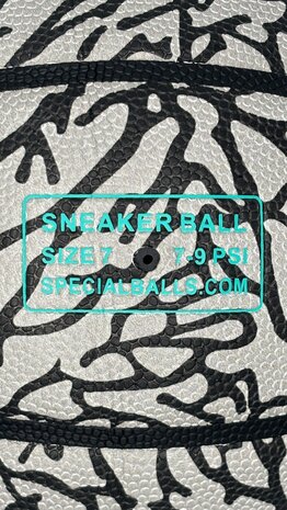 Sneaker Basketbal - Limited Edition