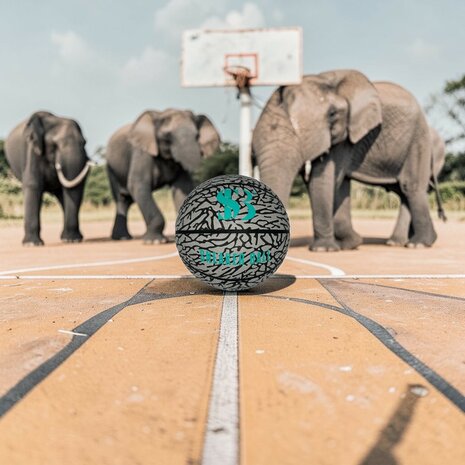 Sneaker Basketbal - Limited Edition