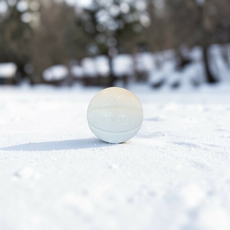 Sneeuw Ball