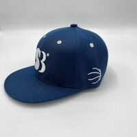 Showcase Basketball Petten