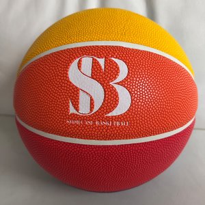 Regenboog showcase basketball